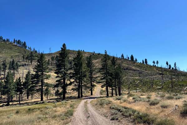Colorado Hill Road - FS 31326