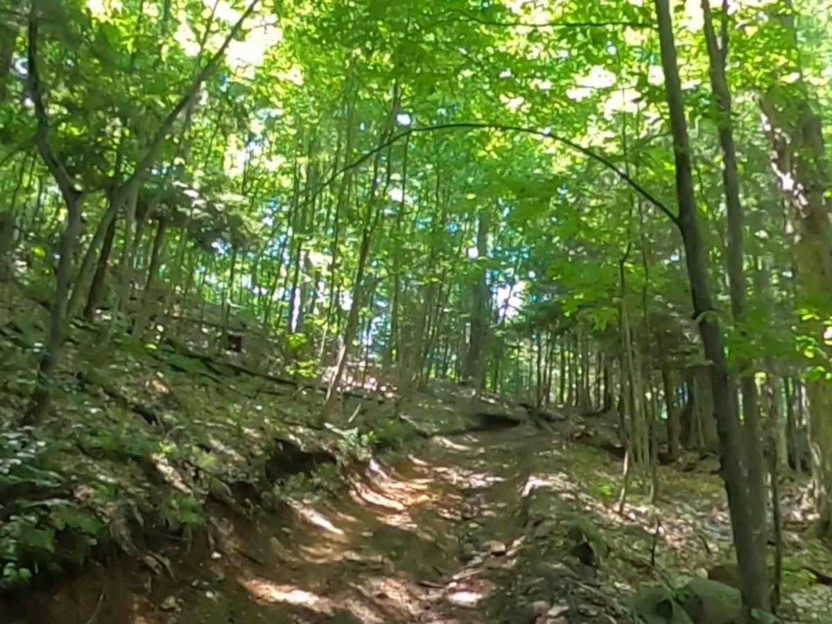 Adirondack ATV Riders Club photo 6