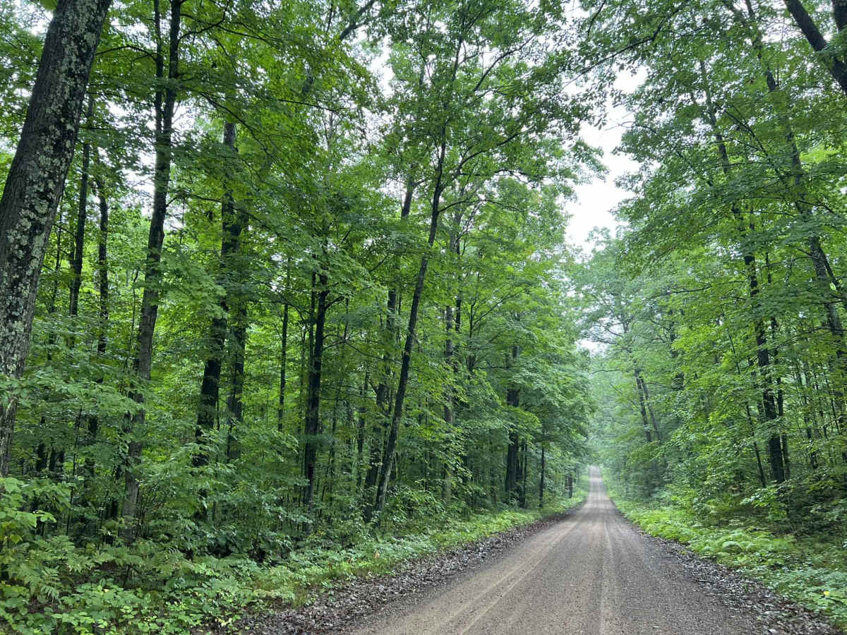 Chickadee Road - FS 2102 photo 6