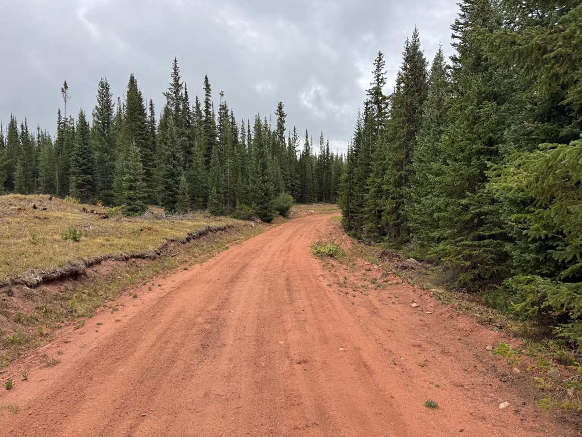 Kobey Park - Link Road photo 3