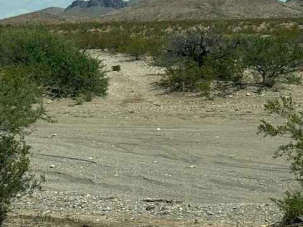 SS1168 photo 3