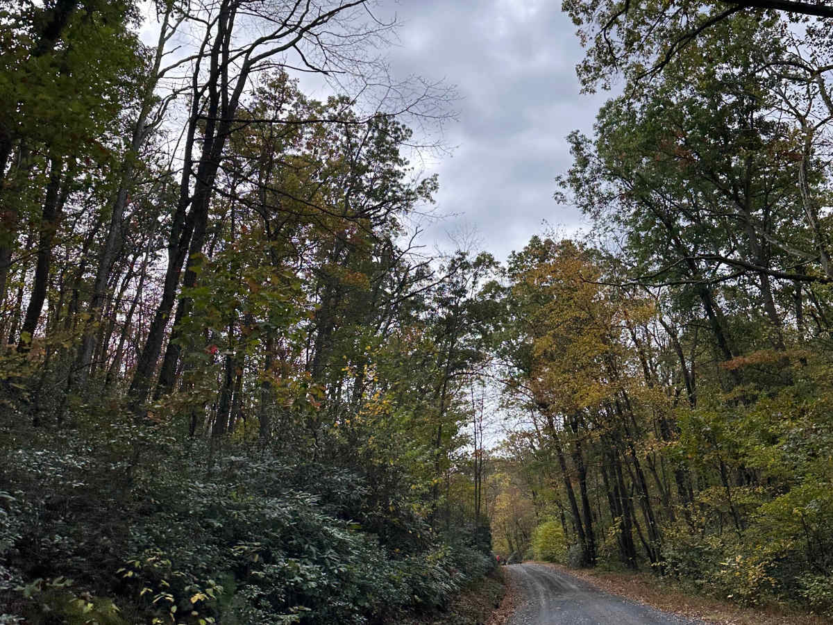 Milesburn Road photo 3