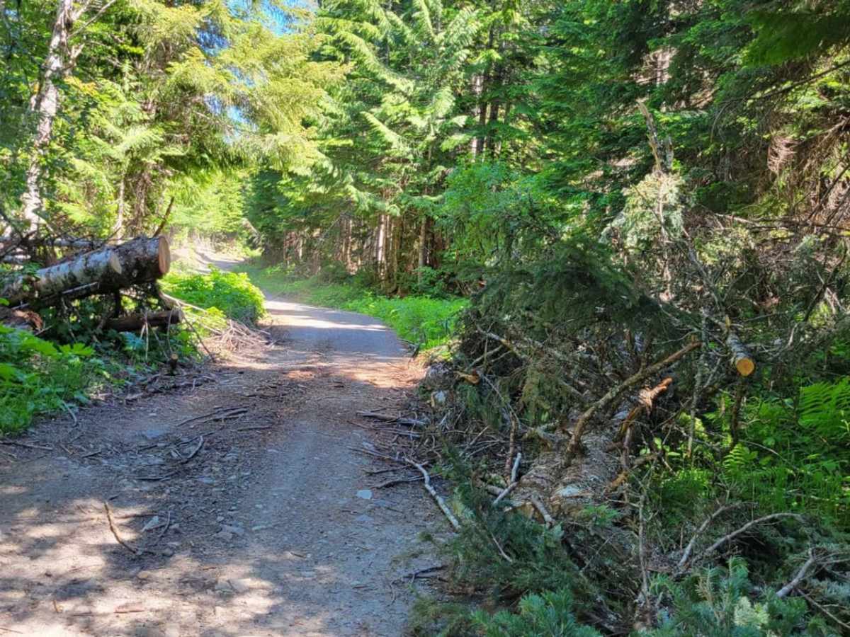 Still Creek Road photo 2