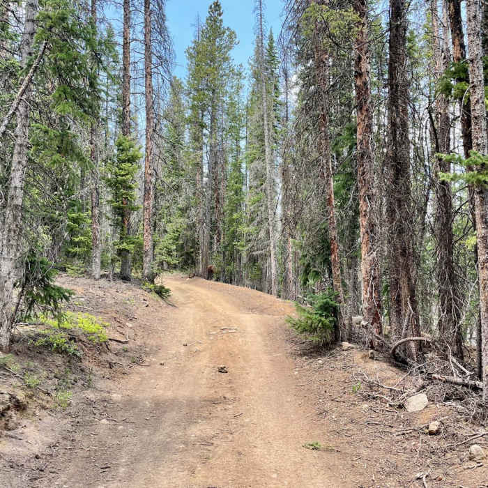 Near Continental Divide Trail: Colorado Section 18