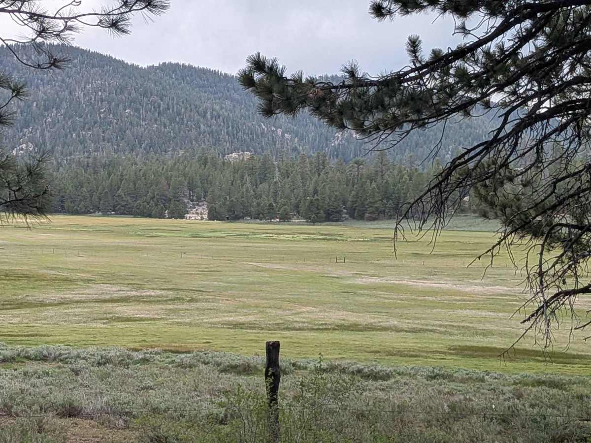 Big Meadow - FS 23S07 trail photo