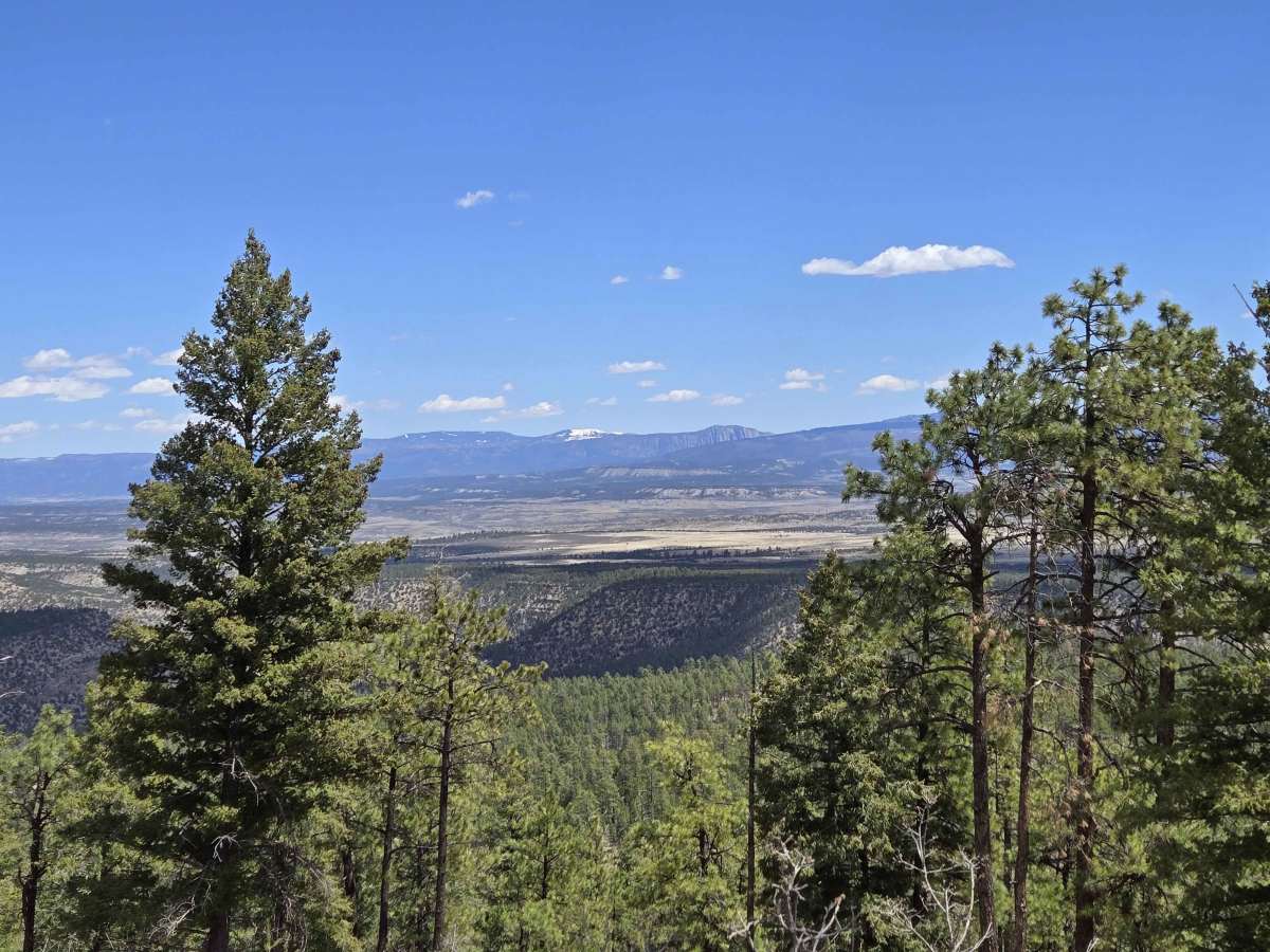 Hogback Trail photo 5