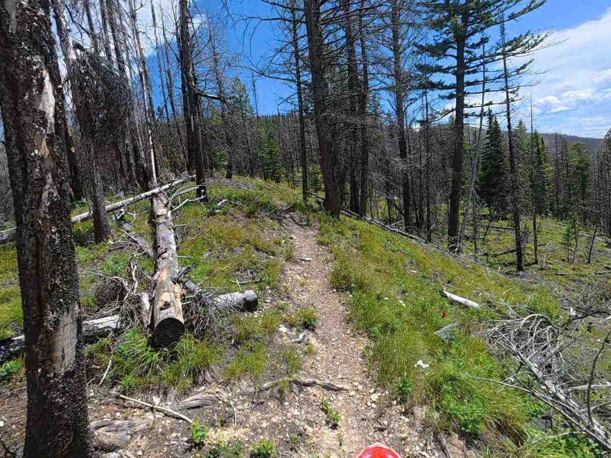 Continental Divide NST - FS 6111 photo 4