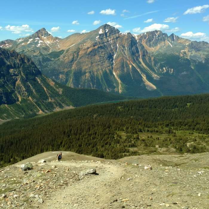 Near Mount Edith Cavell Tour