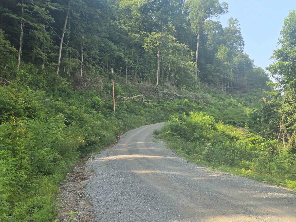 Pine Mountain Road photo 2