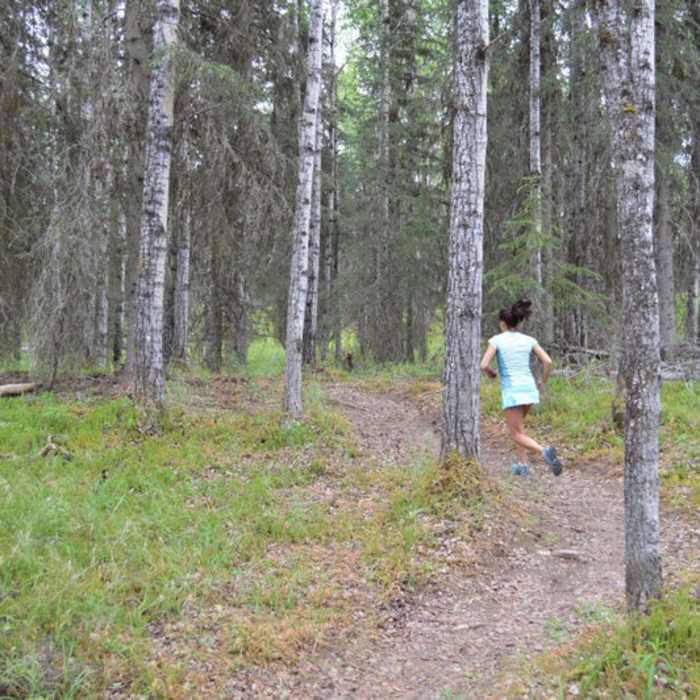Running up into the second section Mosquito SingleTrack, really pretty forest in this area! Near Wolverine