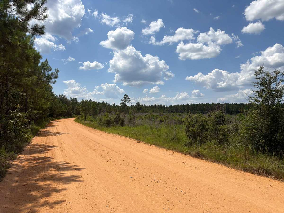 Paulk Road photo 6
