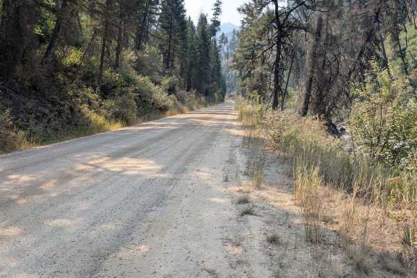 East Fork Road - FS 412