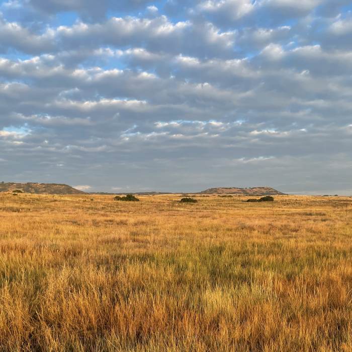 Near Cherry Creek Trail