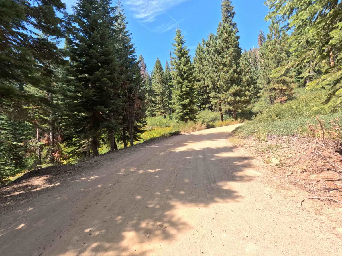 Big Creek Fire Road - North - FS 5S048 photo 6