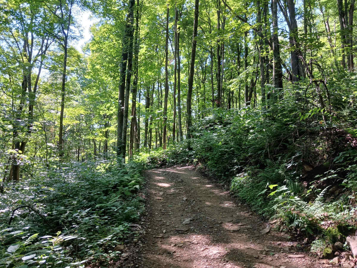 Trail 14D - Rock Run Recreation Area photo 5