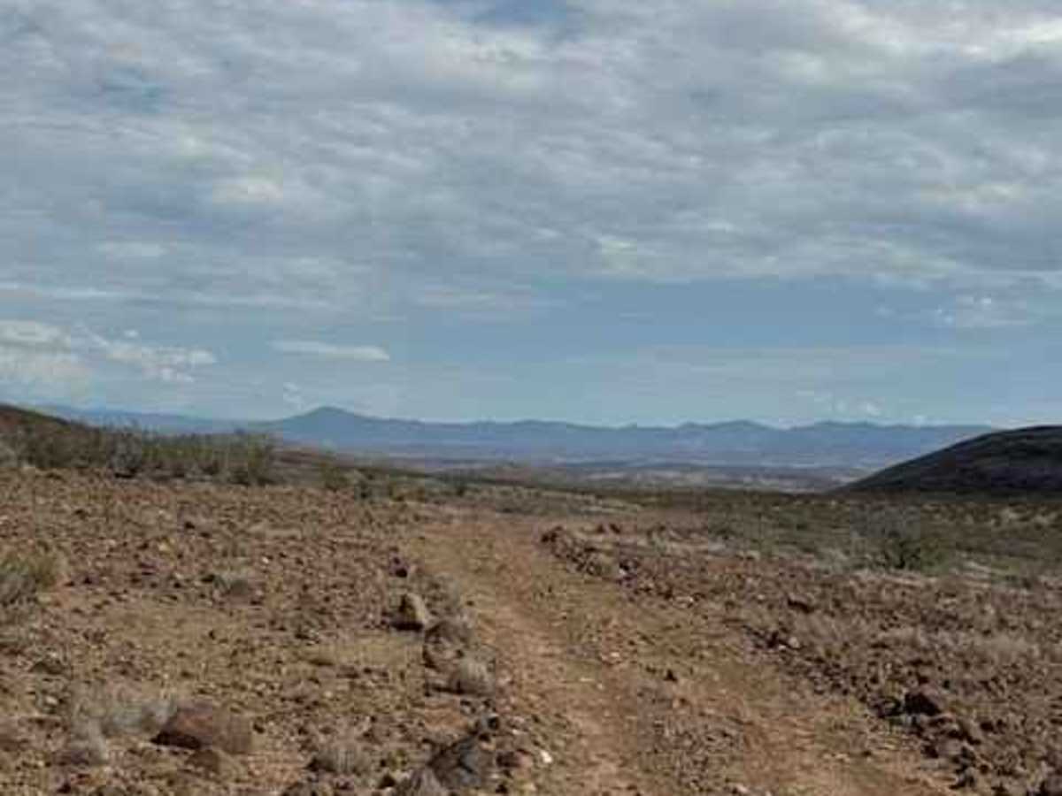 BLM PE1220 photo 3