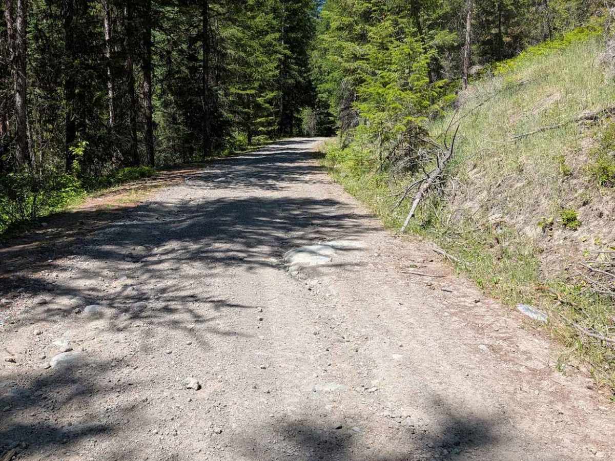 Coxit Rd E372424c trail photo