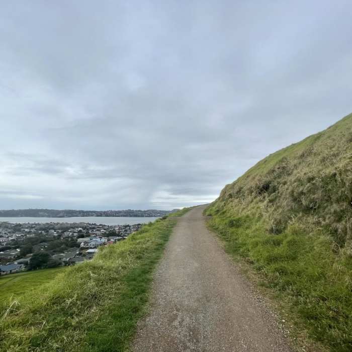Near Mangere Mountain