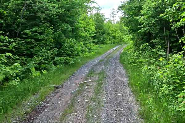 Celotex Road