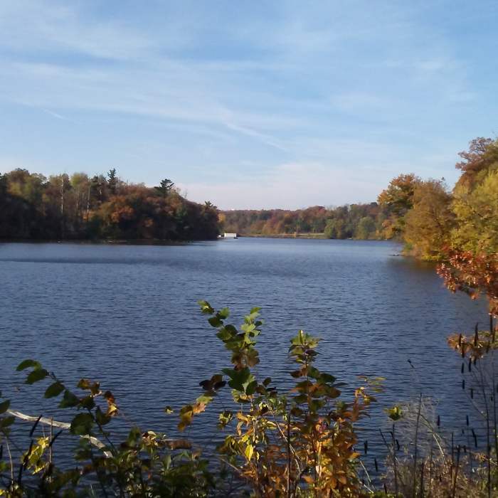 Fall looking south toward the dam. Near Pine lake