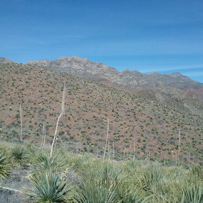 Near Spring View Spur