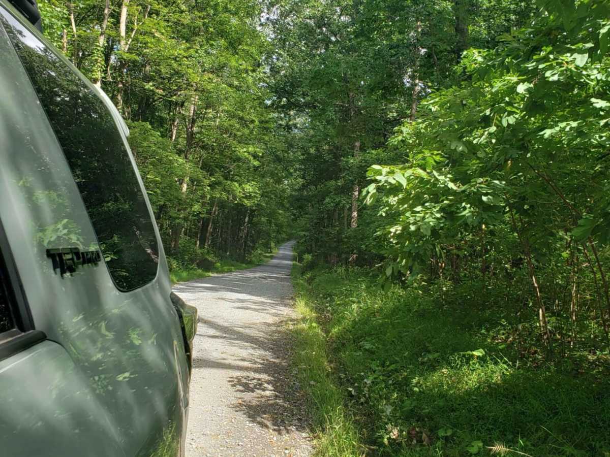 Michaux Ridge Road photo 3