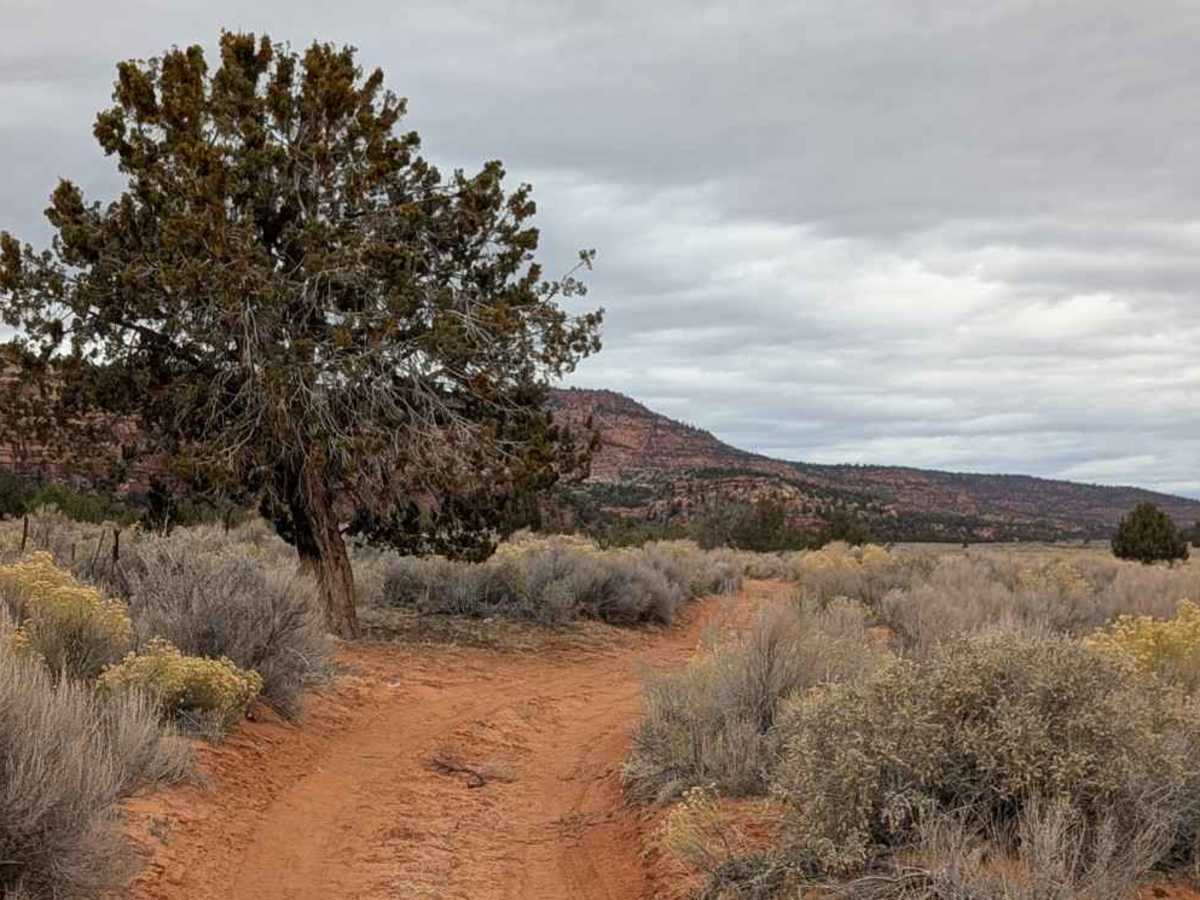 Rose Canyon - BLM M4156 photo 2