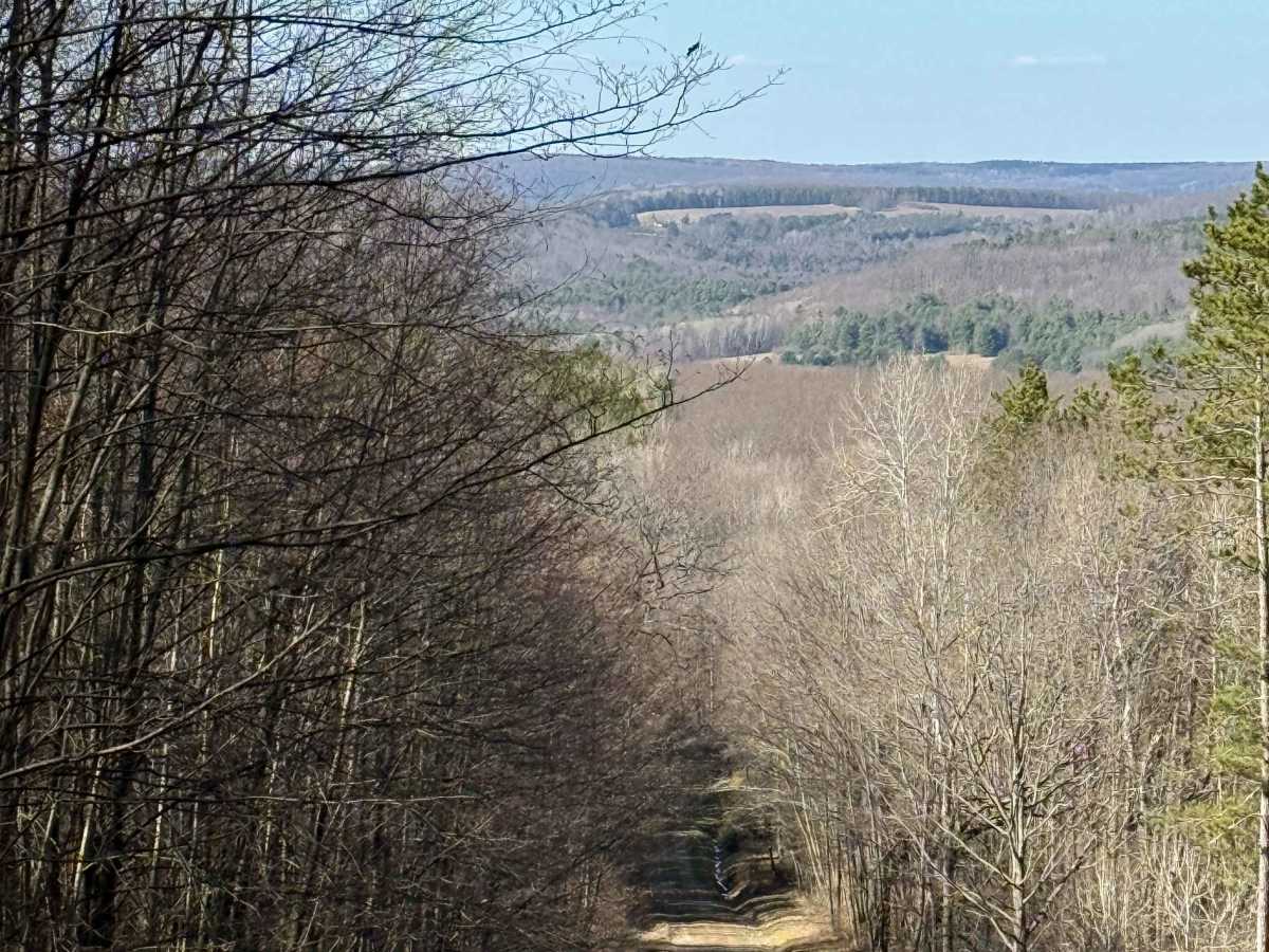 Plumbottom Brown Road trail photo