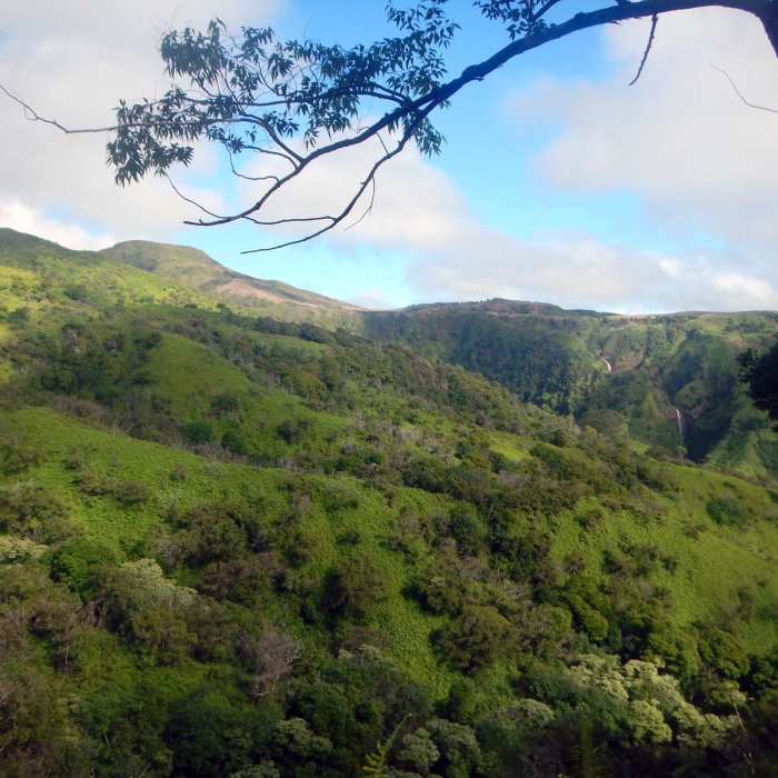 Near Waihe'e Ridge Near Waihe'e Ridge