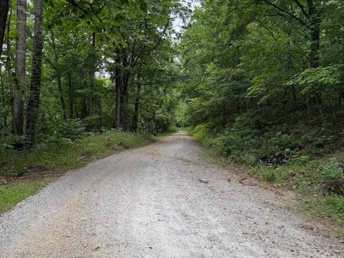 Goff Mountain Road photo 4