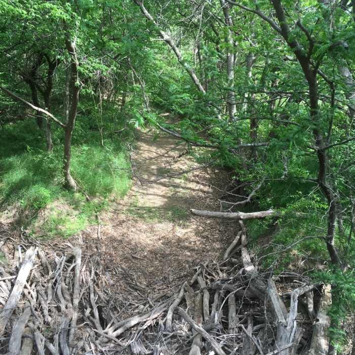 Near West Flint Hills Nature Trail