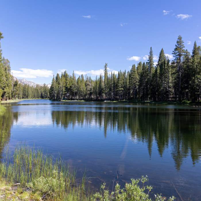 Near Leavitt Meadows to Long Lakes Out-and-Back