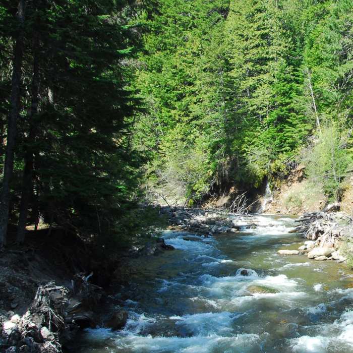 Near Tamanawas Falls Hike