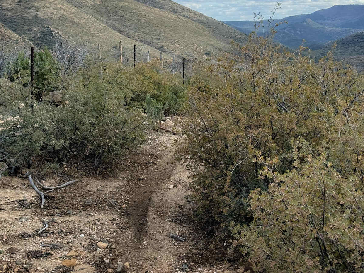 Merritt Spring Trail #9  photo 2