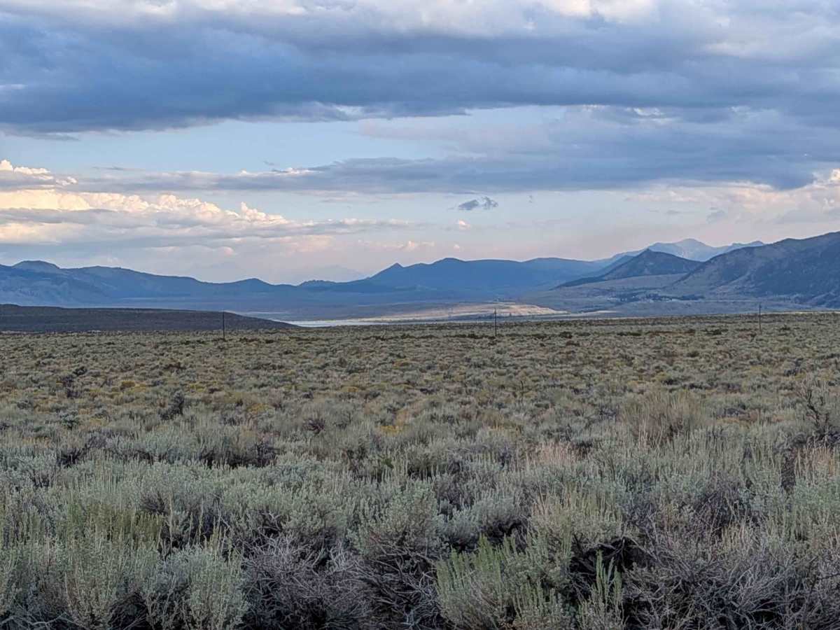 Goat Ranch Cutoff photo 2