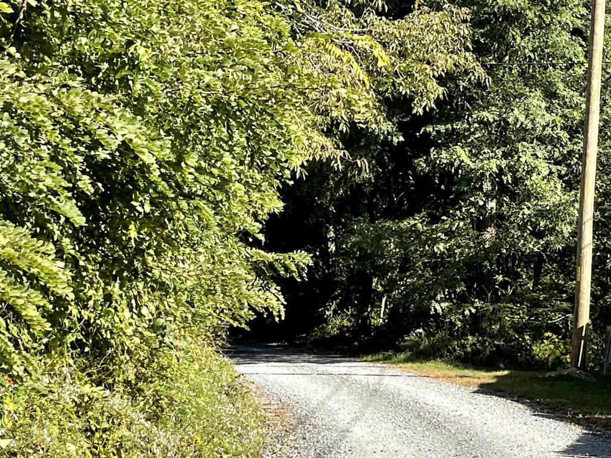 Mill Ridge photo 2