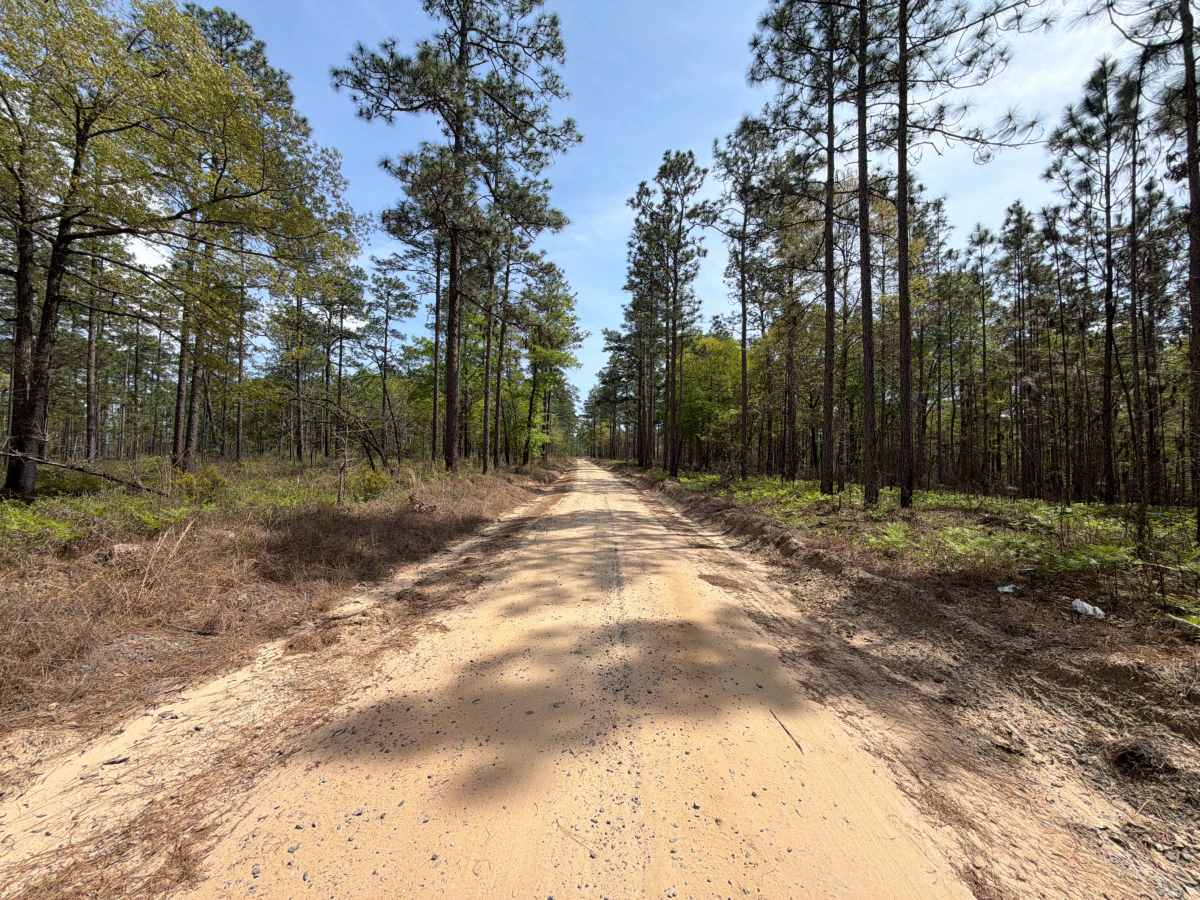 Hurricane Lake South R 30 photo 5