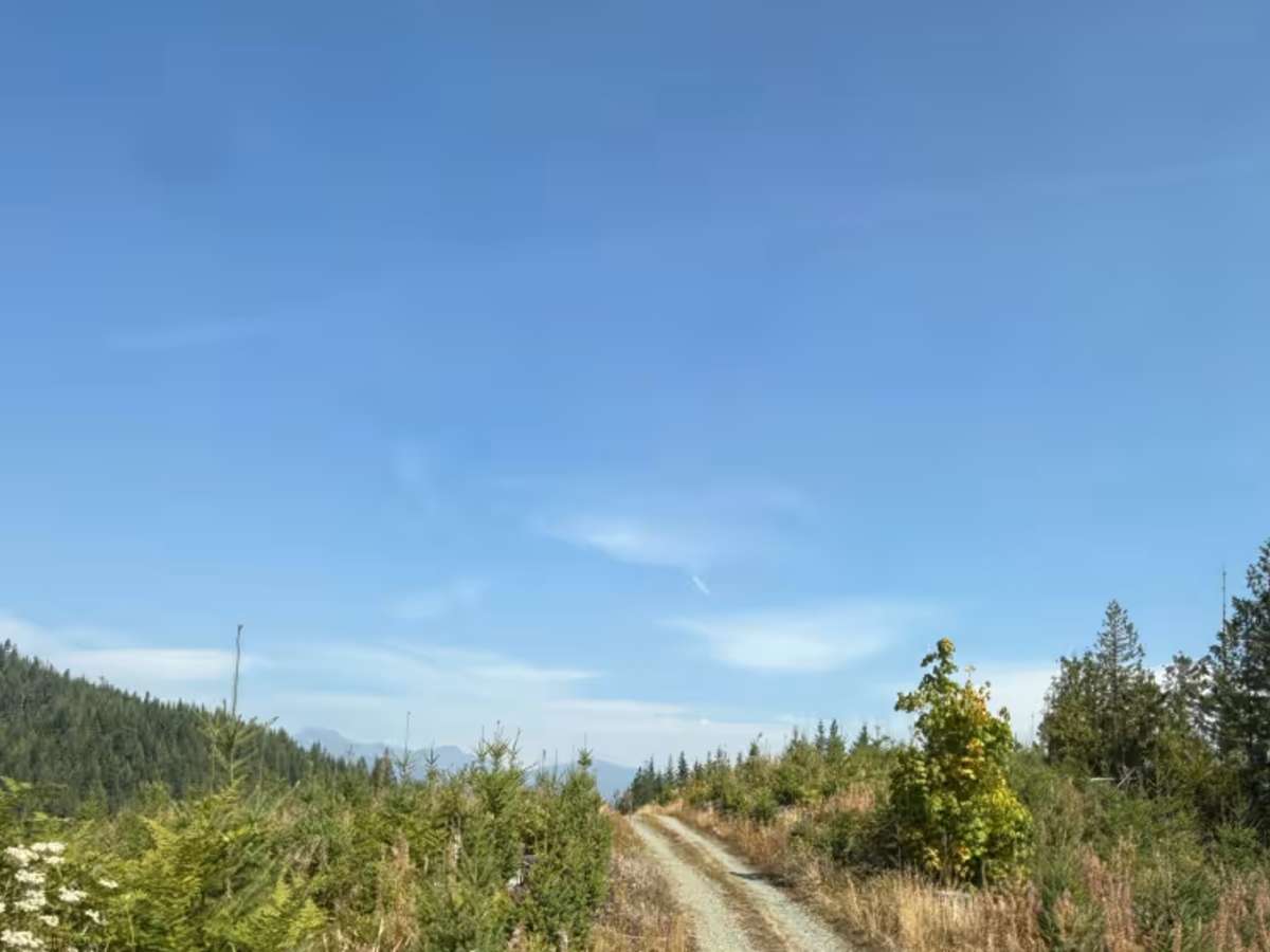 Illabot Powerline Ridge Road photo 2