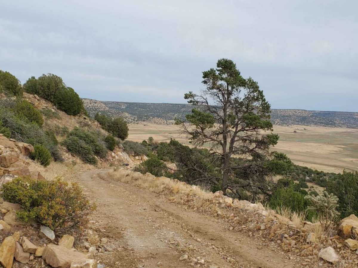 NE Passage via Cimarron Canyon photo 6