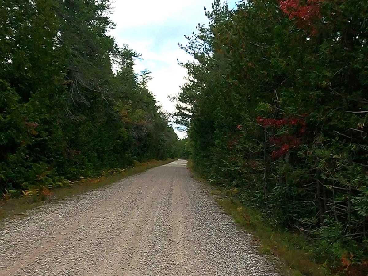 Sweiger Creek Truck Trail - FS 3132 photo 6