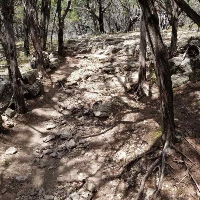 Near Easy Rider Trail
