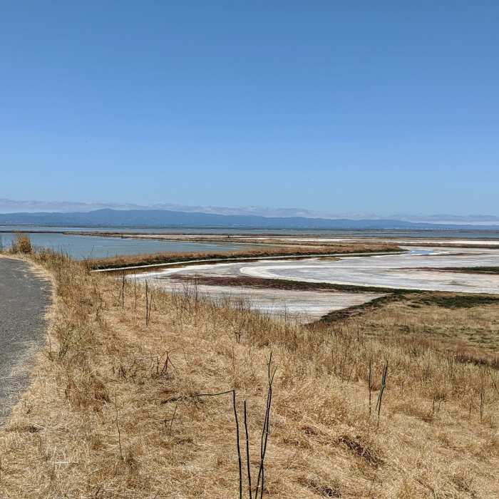 Near Coyote Hills Half Marathon Loop
