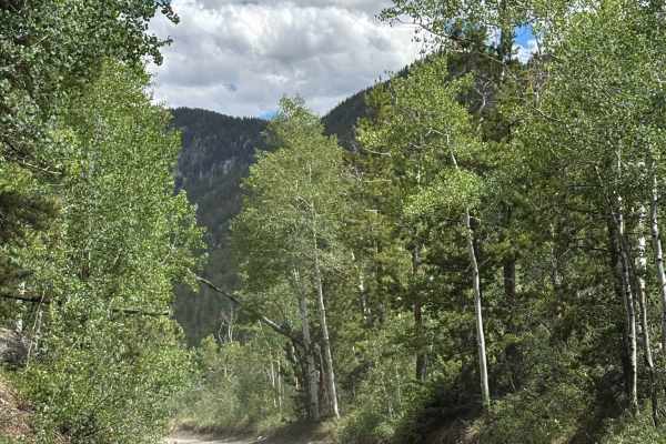Frying Pan Road - Ivanhoe Creek