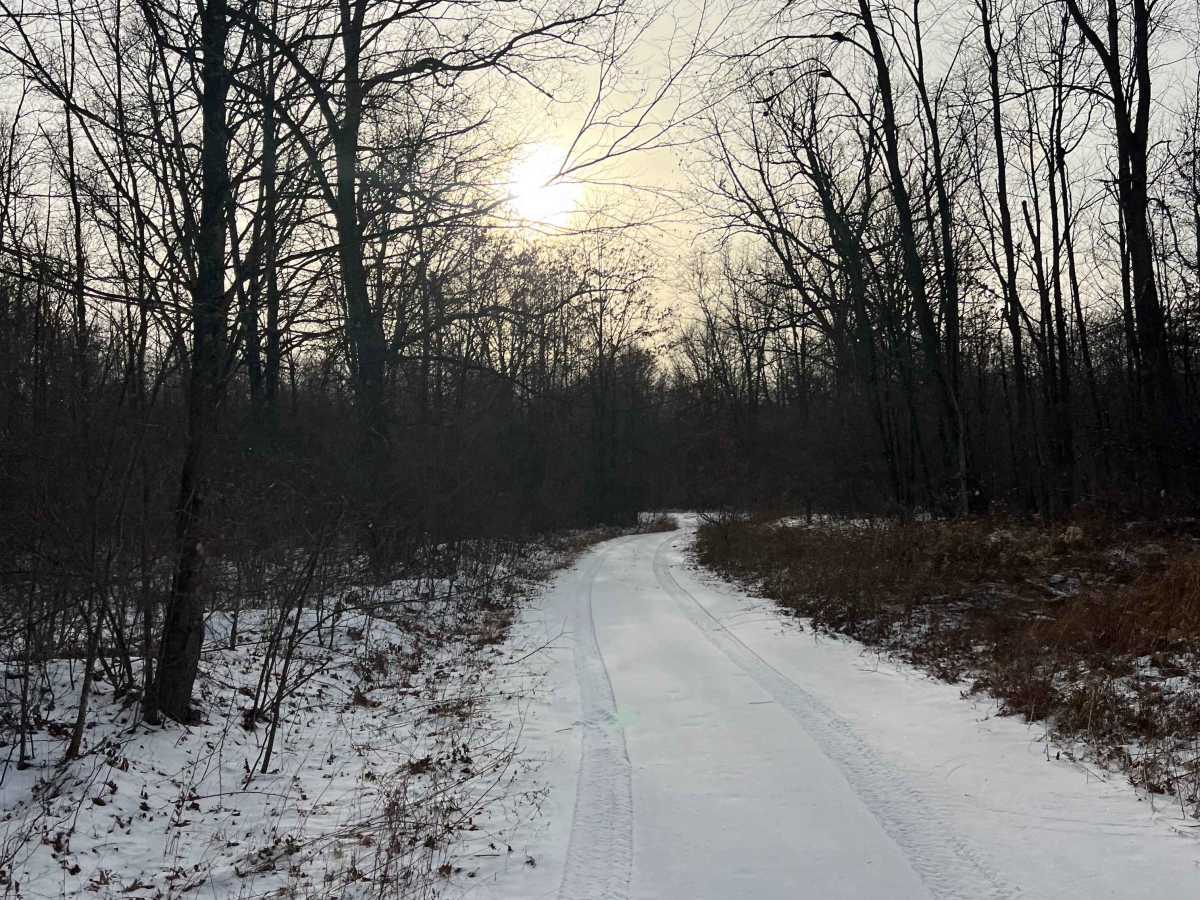 Dehaas Line Trail photo 4