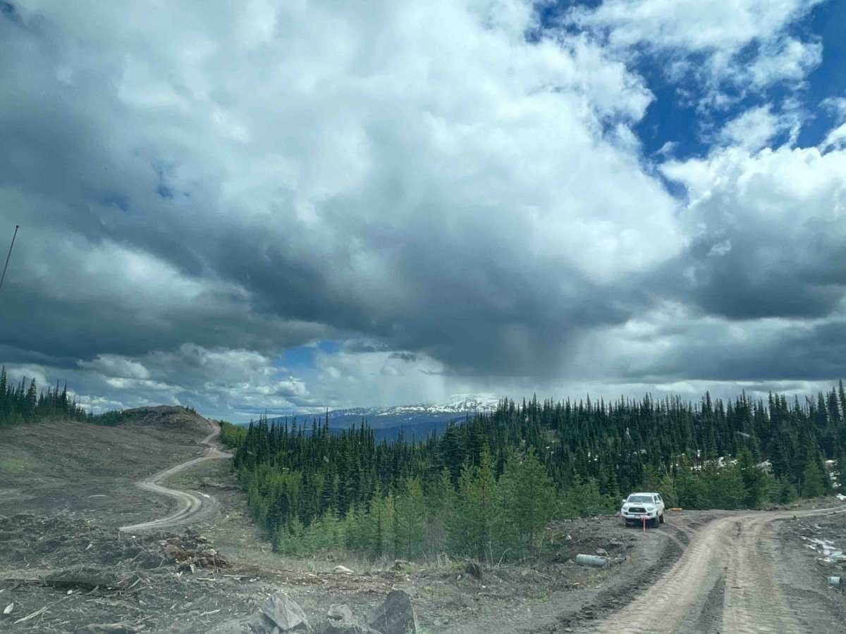 Telkwa 116 Road photo 2