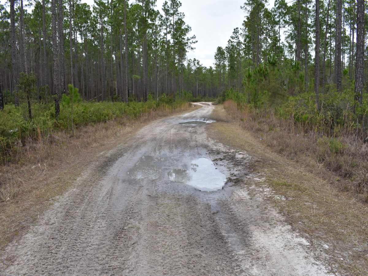 FR 278-B photo 3