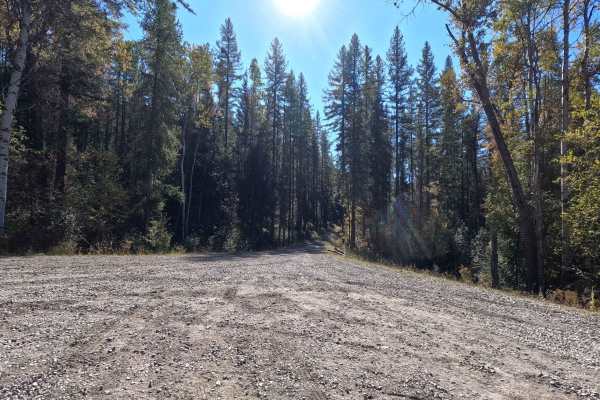 Little Twin Lakes Road - FS 7005300