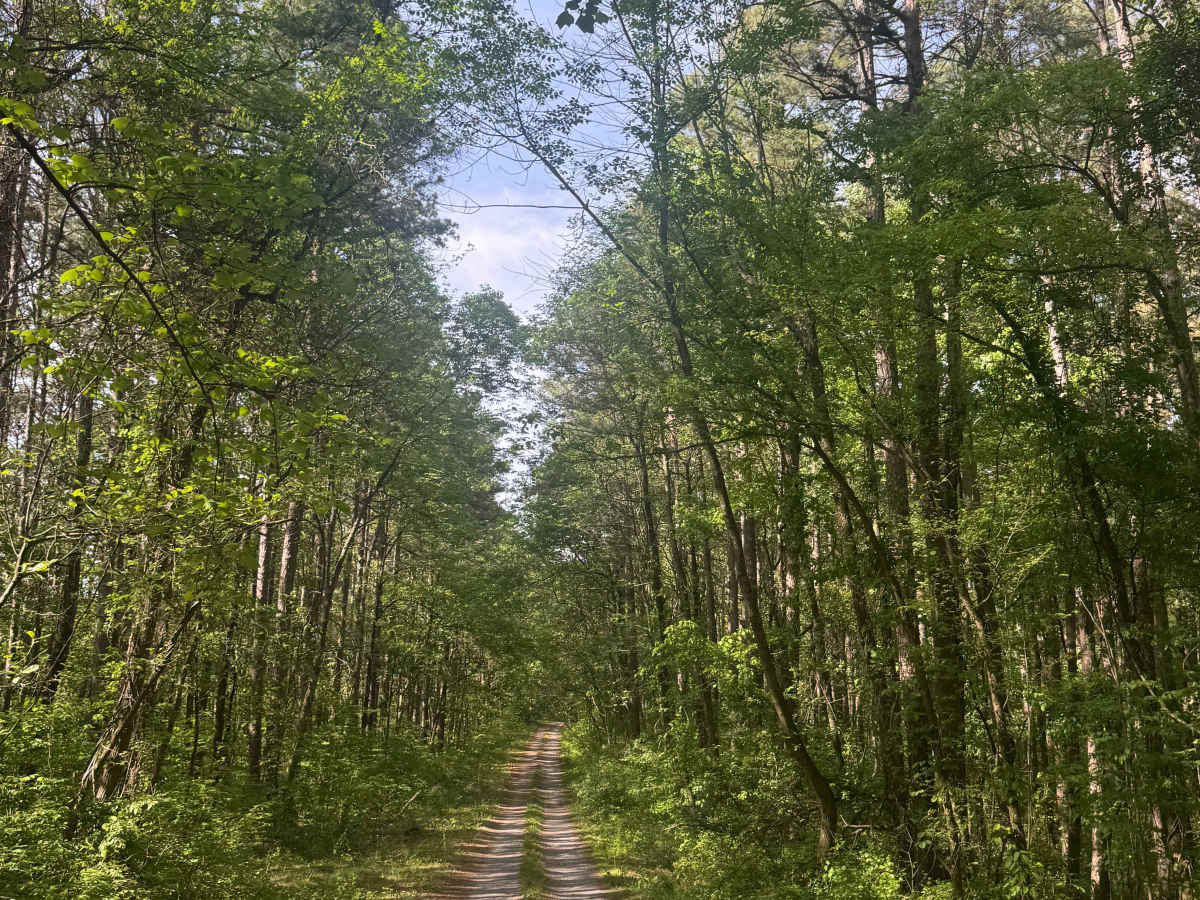 Cadiz Campground Trail photo 4