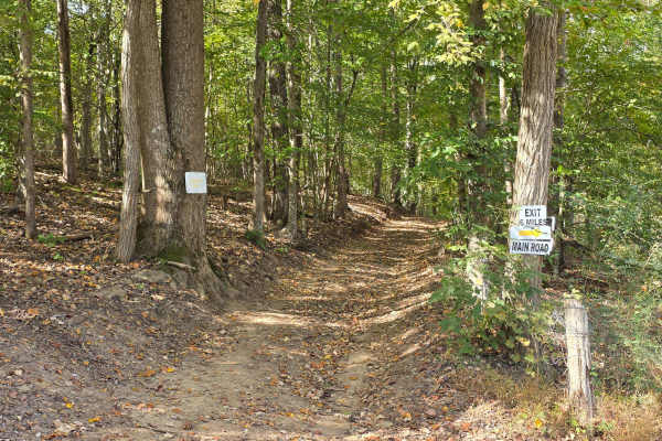 Hardwood Hollow