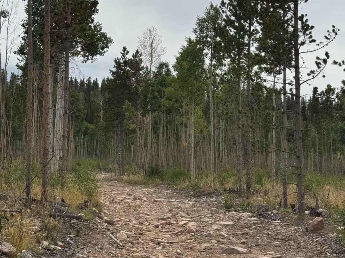 Carter Creek West photo 3